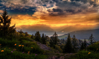 Path Wallpaper Landscape HD Desktop 4k Image