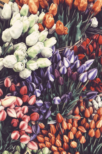 Gorgeous Flower Aesthetic Wallpaper For Your iPhone Prada