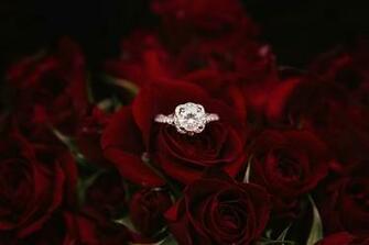 Ring Pictures Image