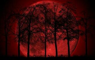 Forest Red And Black Wallpaper