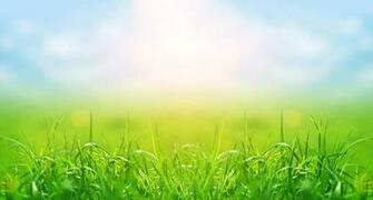 Best Lawn Mowing Background Frosty