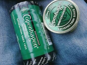 Grizzly Wintergreen Wallpaper Tobacco