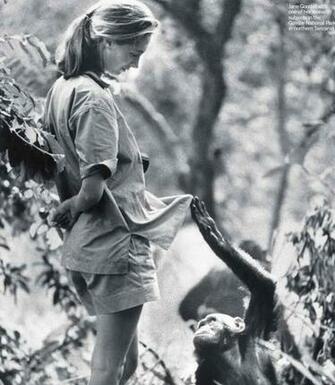 Young Tarzan And Jane Hot Girls Wallpaper