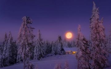 Full Moon On A Winter Night HD Wallpaper Background Image