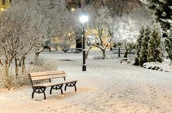 Bench Shop Winter Snow Night Lamps Light Nature Park Tree HD Wallpaper