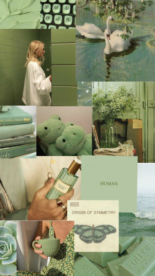 Sage Green Aesthetic Wallpaper