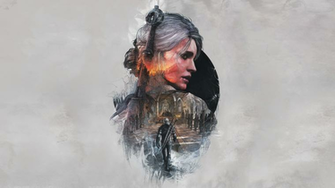 The Collection Witcher Video Game Wild Hunt