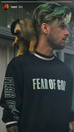 R Sultat De Recherche D Image Pour Zayn Malik