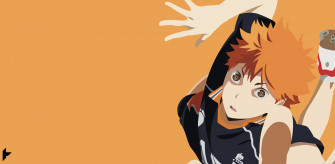 Top Hinata Shoyo Wallpaper