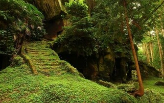 Beautiful Wallpaper And Image Waterfall Jungle