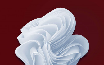 Windows Cranberry White Bloom By Michael Gillett