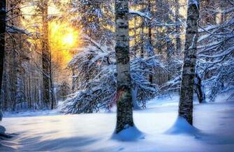 What S Cooler Than Being Cool Ice Cold You Can Feel The Crispness