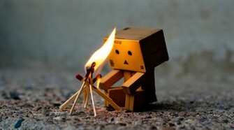Danbo Adventures Photopeka