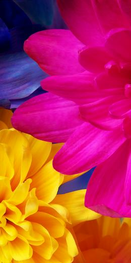 Sharp Aquos S3 Wallpaper Android One Droids