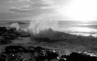 Tag Black And White Wallpaper Background Photos Pictures