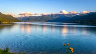 Natural Wallpaper