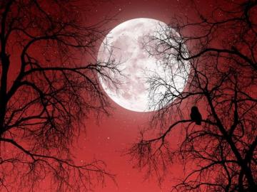 Dark Red Moon Wallpaper On