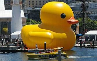 Gigantic Bright Yellow Rubber Duck Floated Into Sydney S Darling