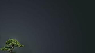 Wallpaper Gallery On Reddpics Pics
