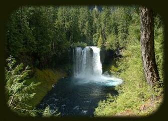 Suggested Scenery On The Mckenzie Pass Santiam Oregon Scenic