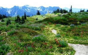 Gallery For Gt Spring Nature Scenes