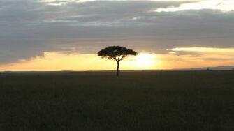 Africa Desktop Pc And Mac Wallpaper