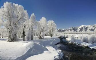 Beautiful Winter Wallpaper Beauty Of Season Nature