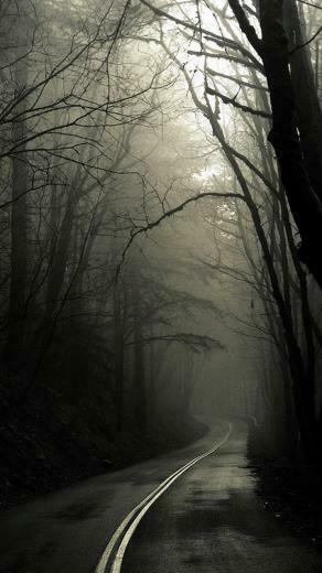 Dark Road Forest iPhone Se Wallpaper