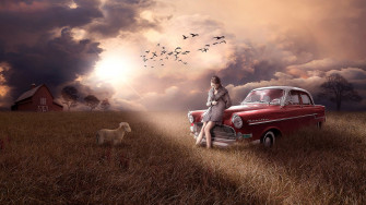 Car Field Lamb Sad Fantasy Woman HD Wallpaper