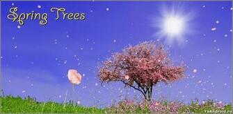 Spring Trees Live Wallpaper