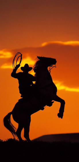 Western Wallpaper Phone Discover More American Cowboy