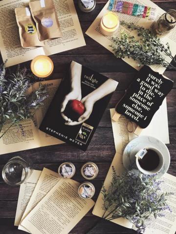 Twilight Series Bookstagram Photography Saga Books