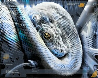 Cool Techno Background