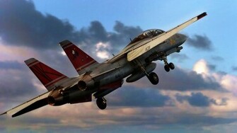 Tomcat Wallpaper
