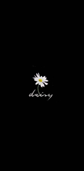 Daisy Aesthetic Wallpaper
