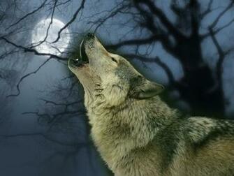 Wolves