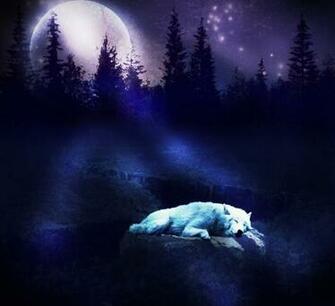 Wolf Moon Wallpaper HD In Animals Imageci