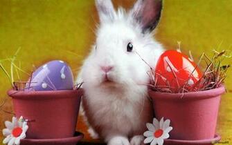 Desktop Wallpaper Happy Easter Bunny For Your