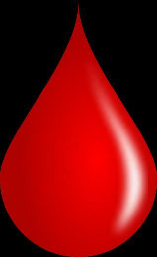 Blood White Cells The Human Heart An Online