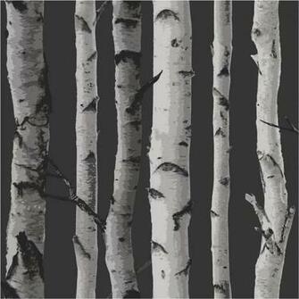 Silver Fd31052 Birch Tree Forest Woods Fine Decor Wallpaper
