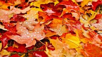 Fall