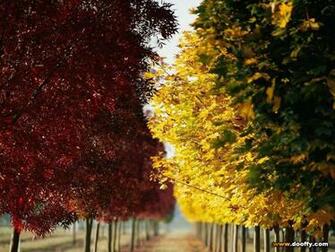Winter Spring And Autumn HD Wallpaper Seasonal