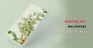 Theme Wallpaper For Google Pixel Pro Android Apk