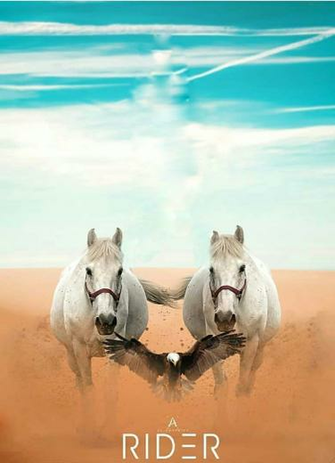 Best Photoshop Picsart Background Collection Cc