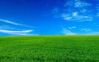 Wallpaper Landscape Bliss Alternate