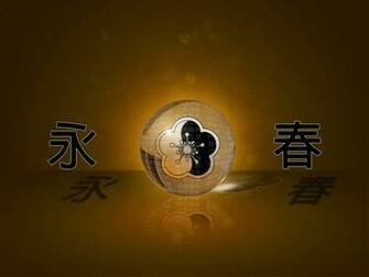 Wing Chun Wallpaper HD Image Amp Pictures Becuo