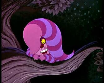 Image Cheshire Cat Jpg Disneywiki