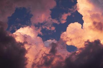 Pink Sky Pictures Image