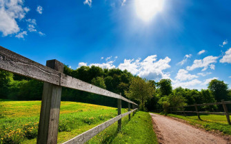 Summer Sunny Day At The Country Side Road