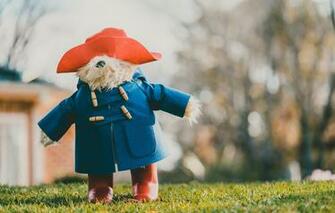 Wallpaper Background Clothing Toy Bear Napoleon Image